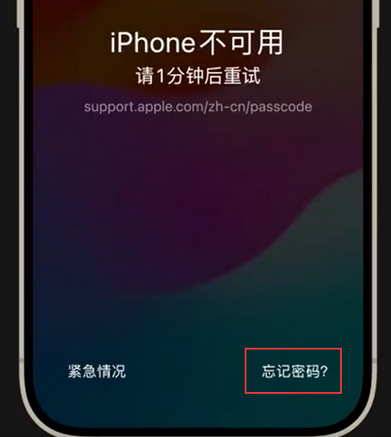 鼓楼苹果手机密码维修分享iPhone忘记了刚设置的密码 