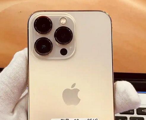 鼓楼苹果13维修中心分享如何在iPhone13上设置动态壁纸 鼓楼苹果13维修中心分享如何在iPhone13上设置动态壁纸